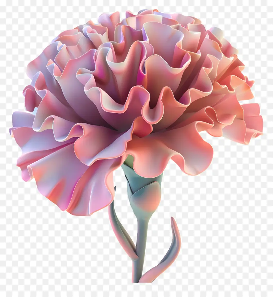 Flor 3d，Flor Rosa PNG