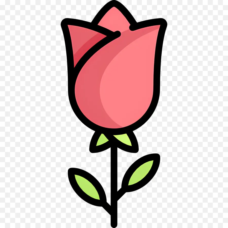 Flor Rosa，Rosa Rosa PNG