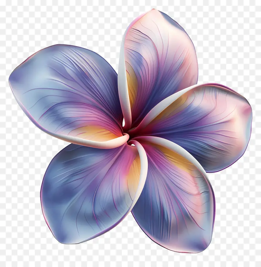 Flor 3d，Flor Colorida PNG