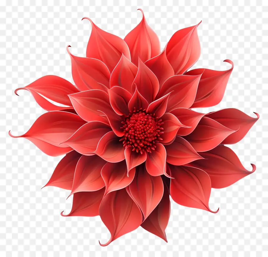 Flor 3d，Flor Roja PNG