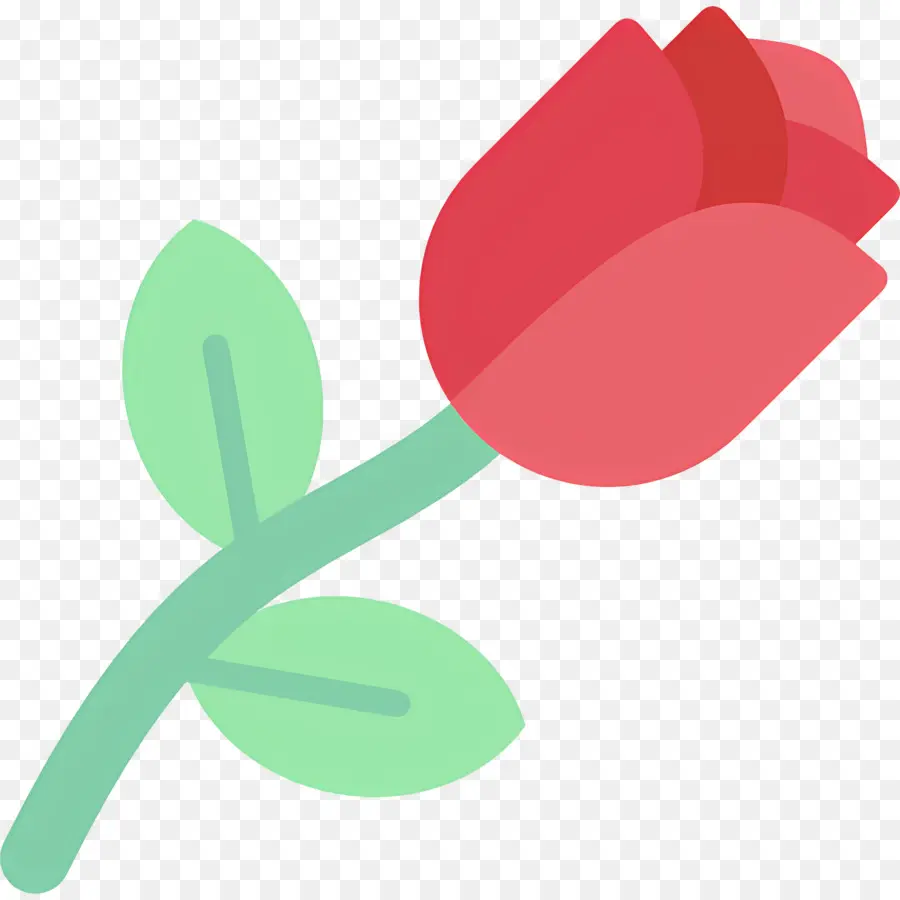 Flor Rosa，Tres Rosas PNG