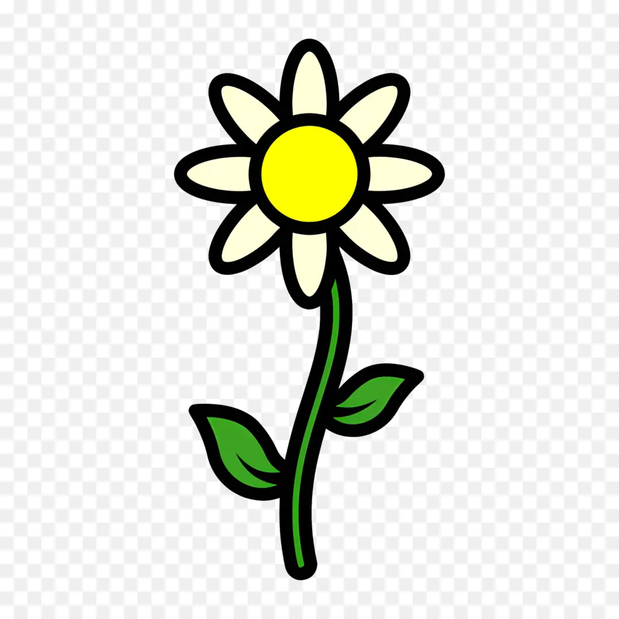 Flor De Margarita，Flor Blanca PNG