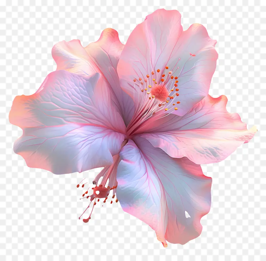 Flor De Azalea Modelo 3d，Flor Rosa PNG