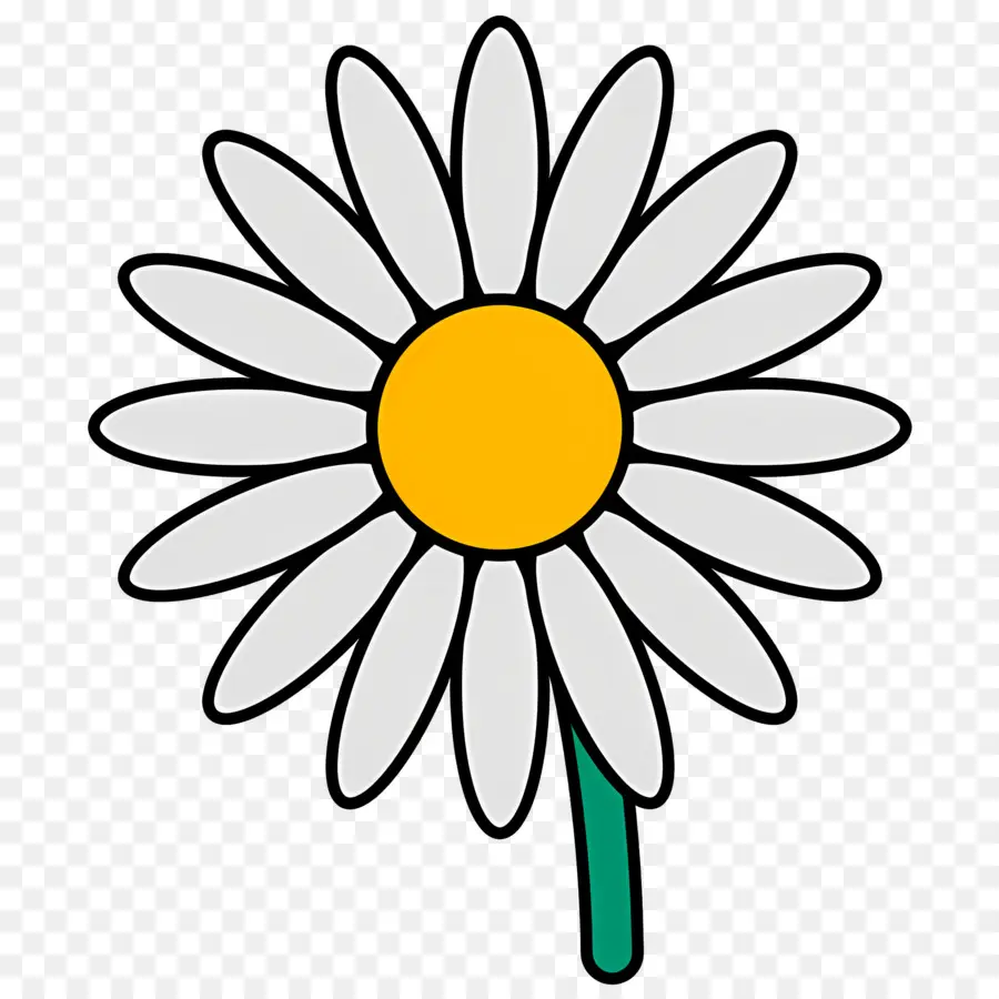 Flor De Margarita，Margarita Blanca PNG