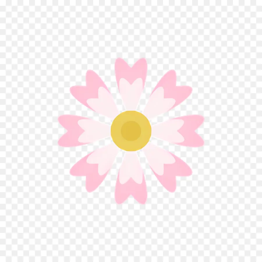 Flor Rosa，Margarita Rosa PNG