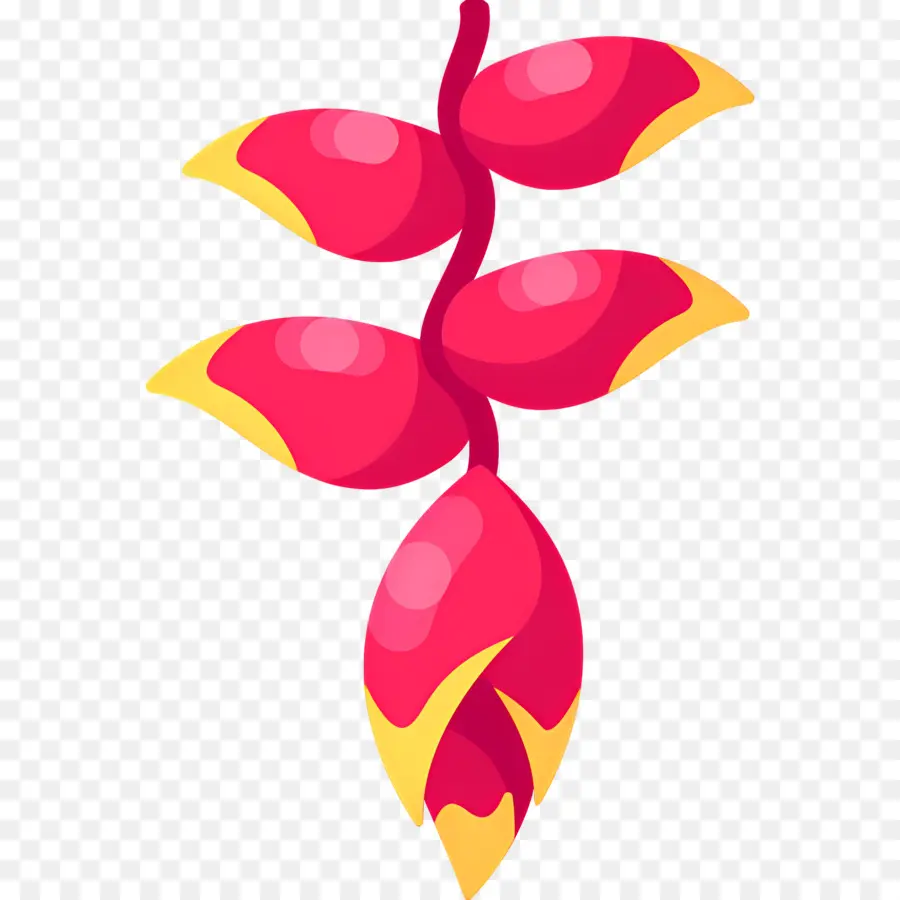 Flor Tropical，Flor Colgante PNG