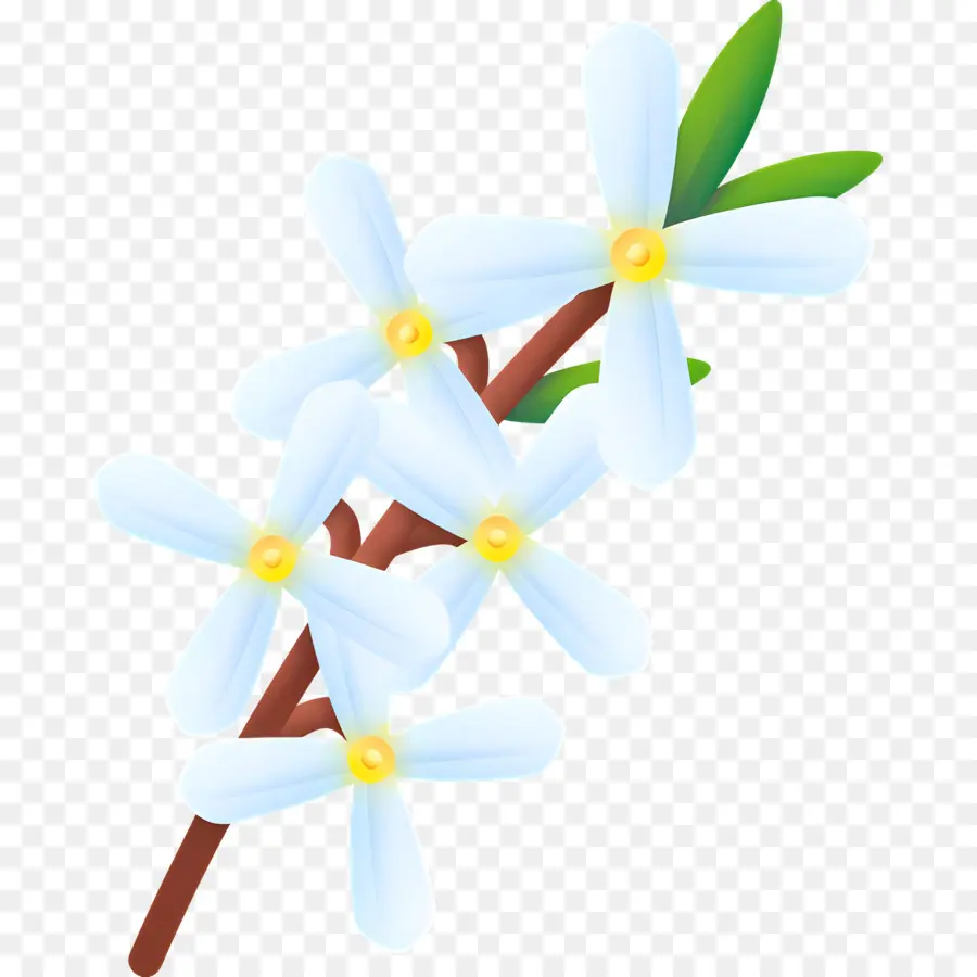 Flor Blanca，Flores Blancas PNG