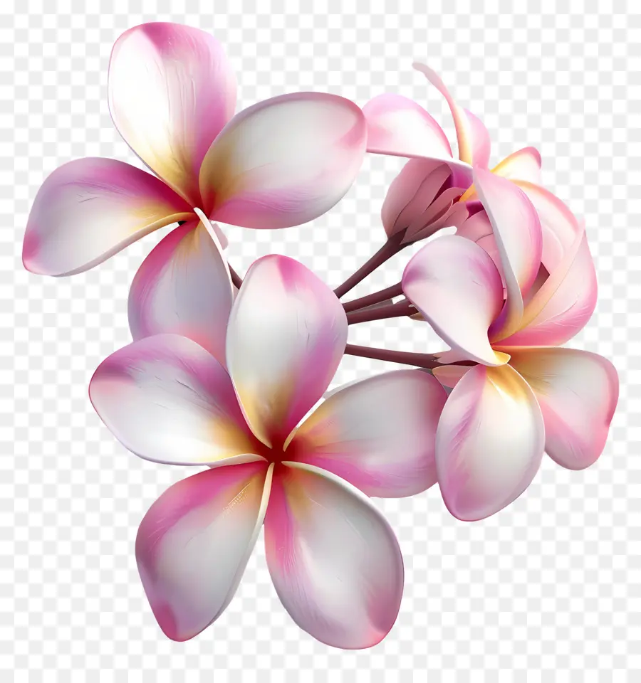 Flor 3d，Flores Rosadas PNG