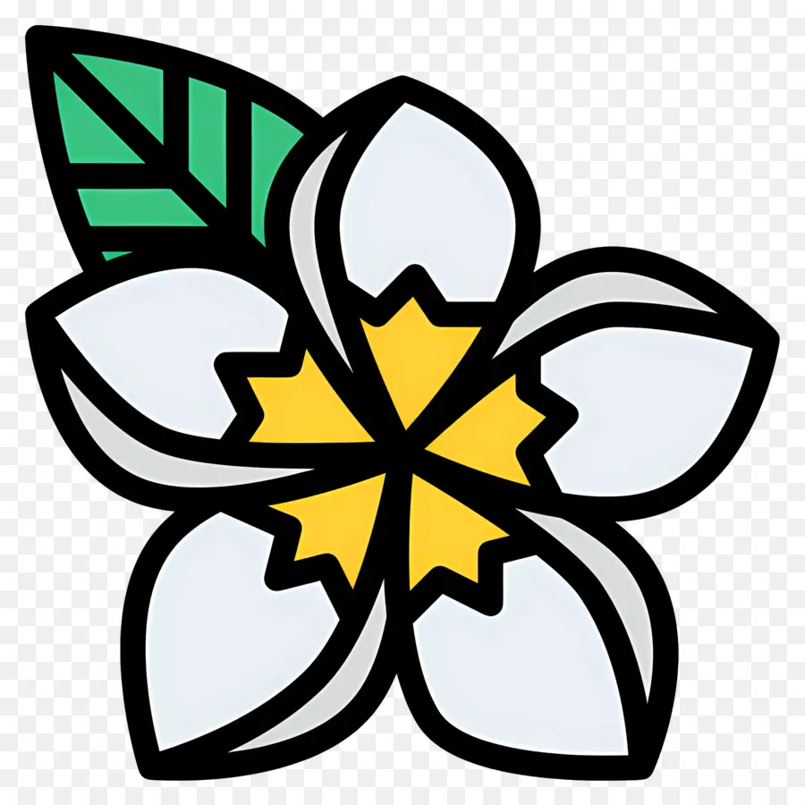 Flor Tropical，Flor Blanca PNG