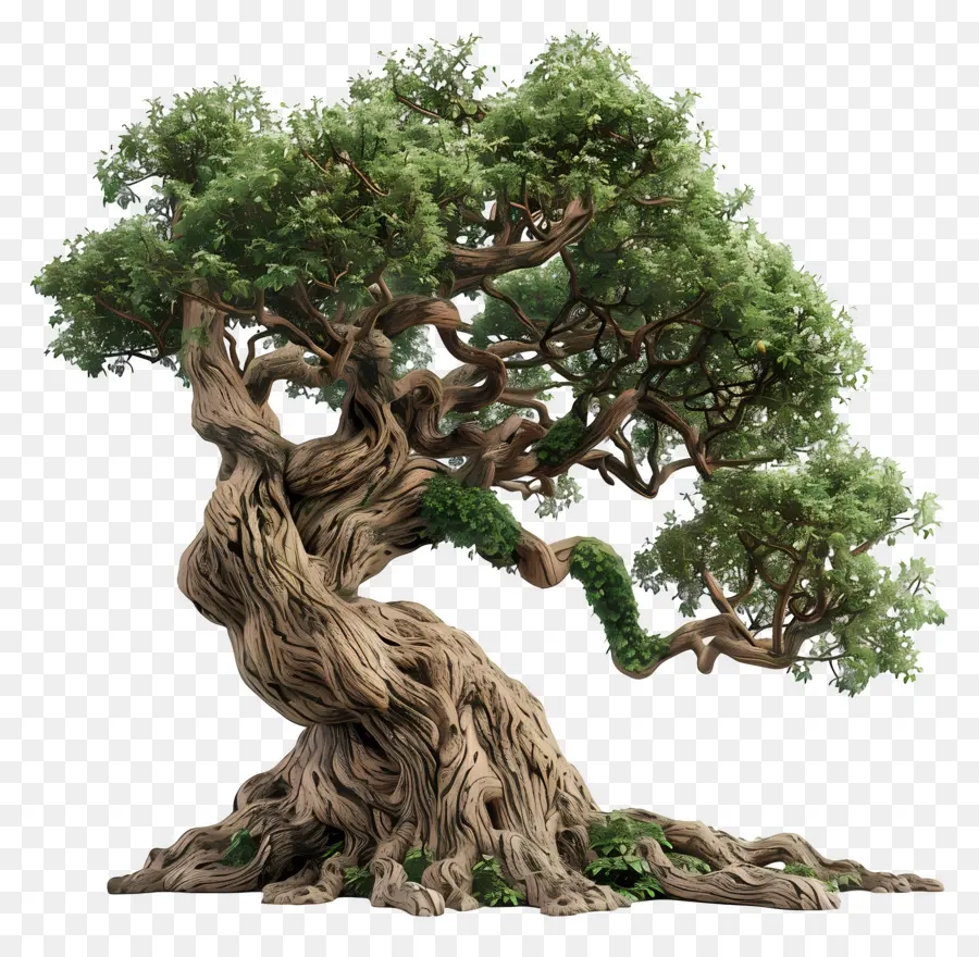 Árbol 3d，Árbol PNG