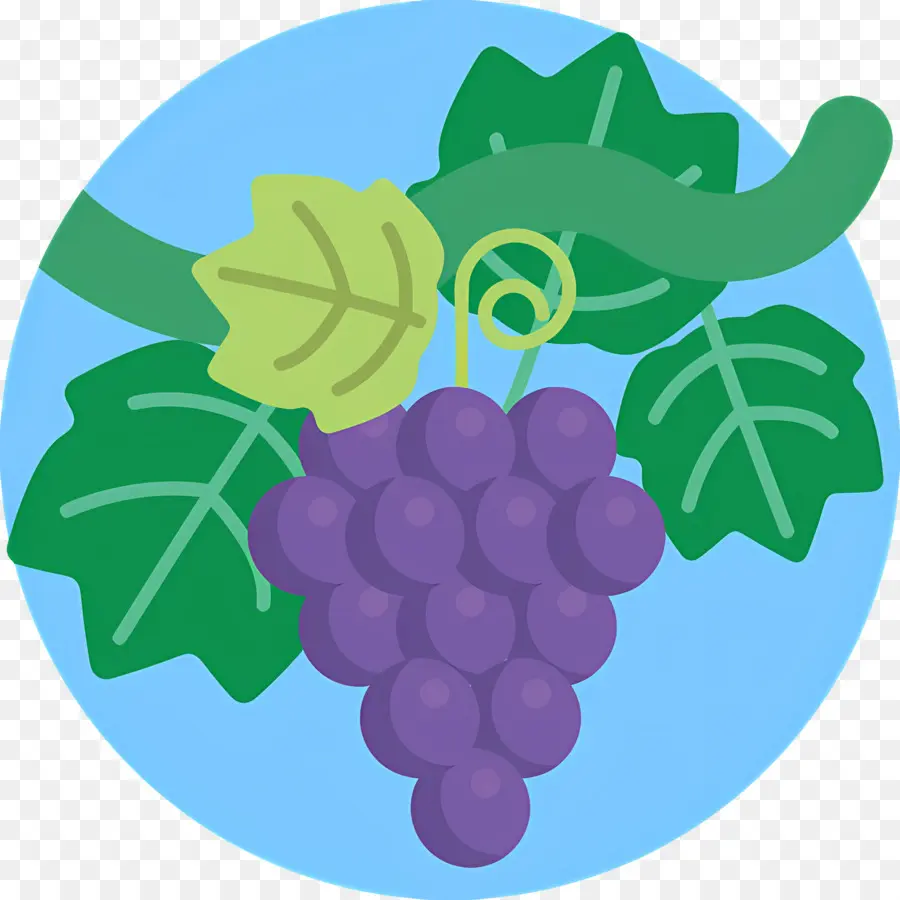 Vid De Uva，Uvas En Vid PNG