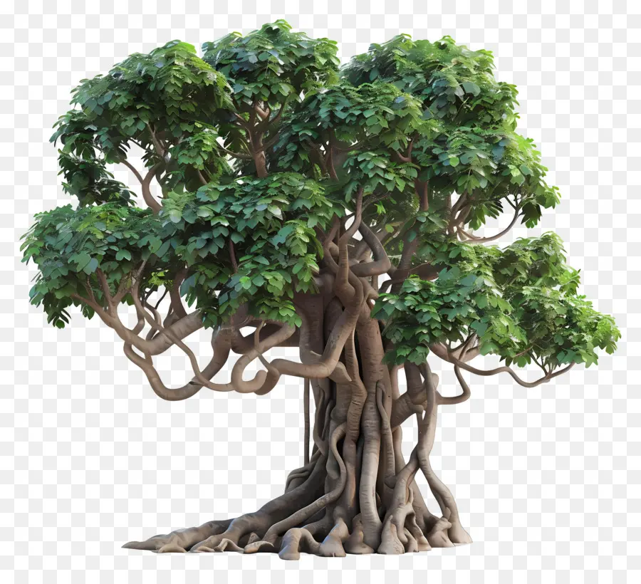 Árbol 3d，Árbol PNG