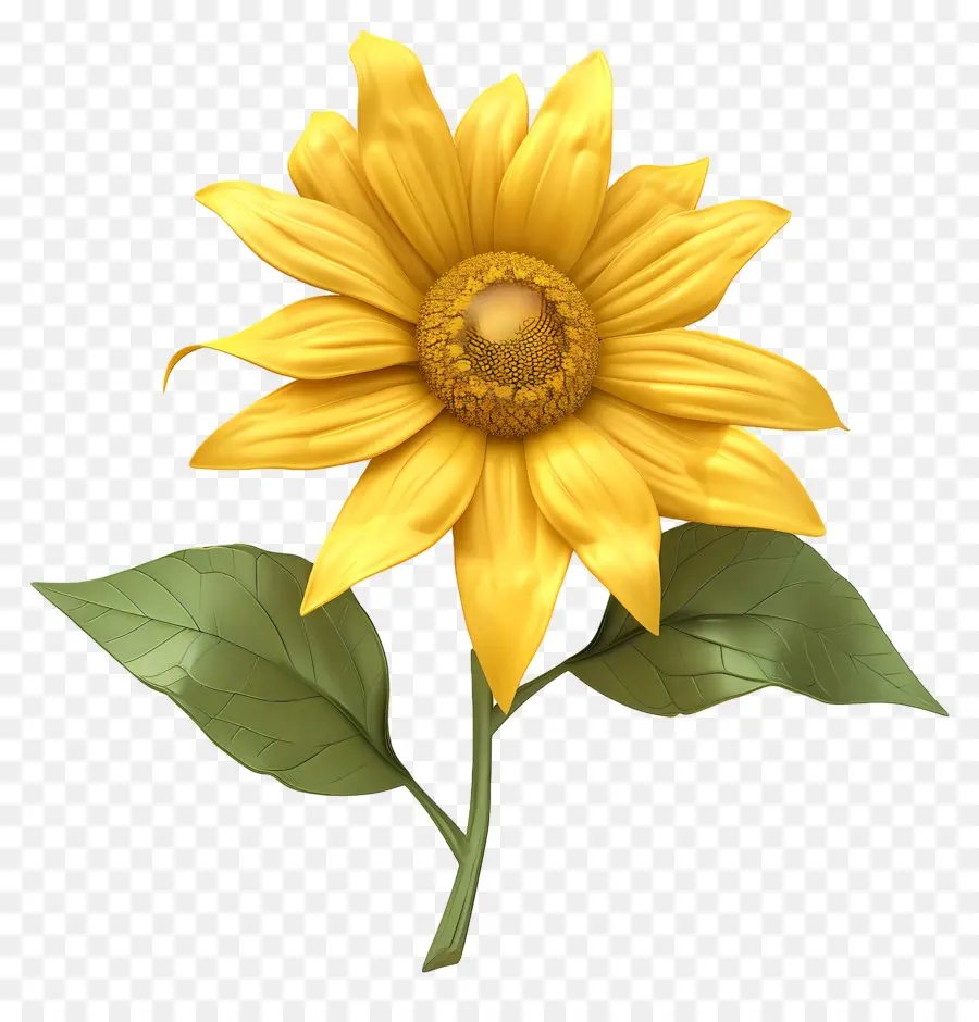 Flor 3d，Girasol PNG