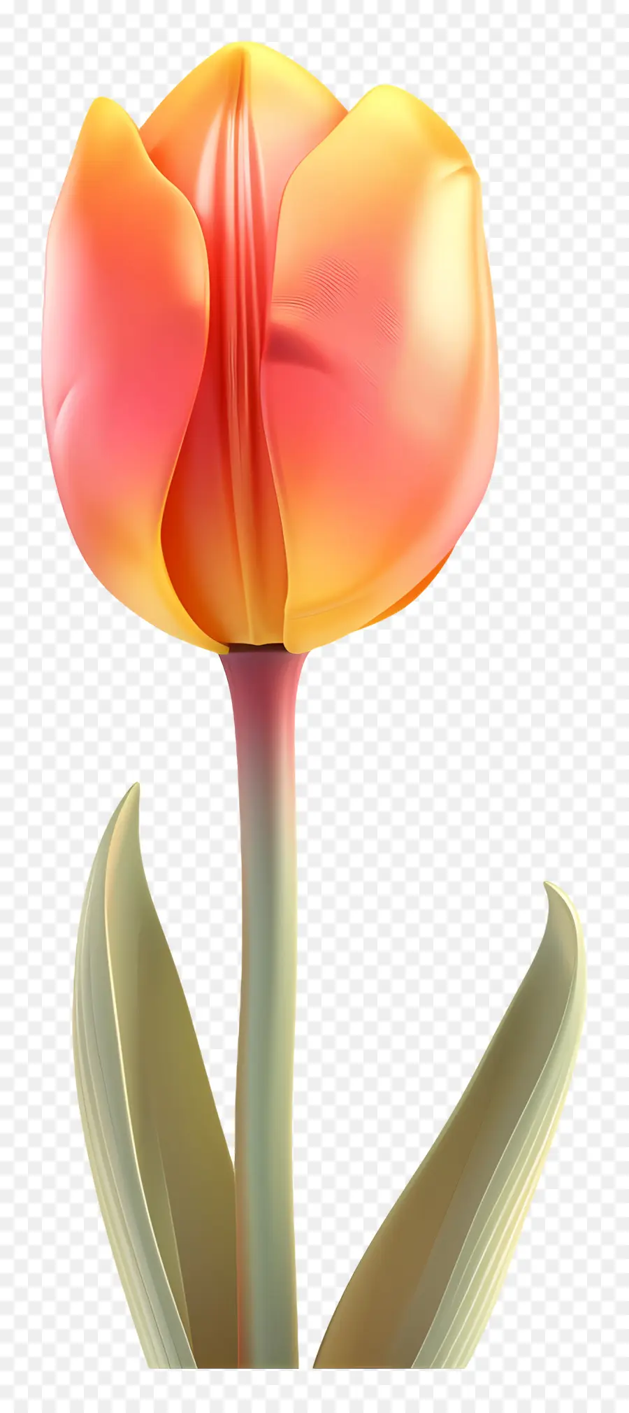 Flor 3d，Flor De Tulipán Naranja PNG