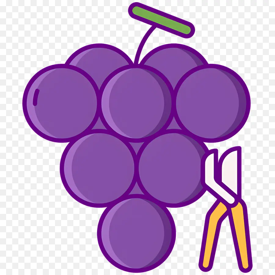 Vendimia，Uvas PNG