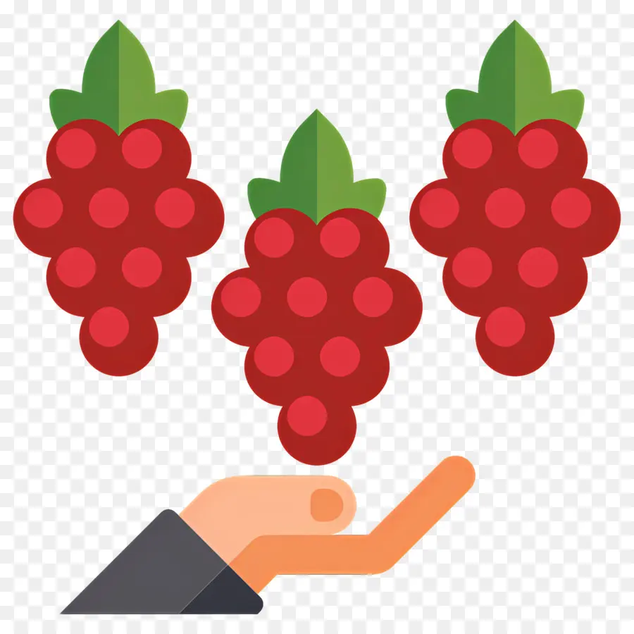 Vendimia，Mano Con Uvas PNG