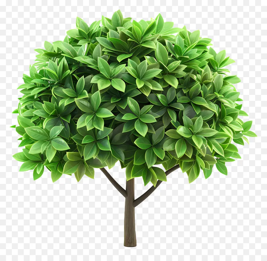 Árbol 3d，árbol Verde PNG