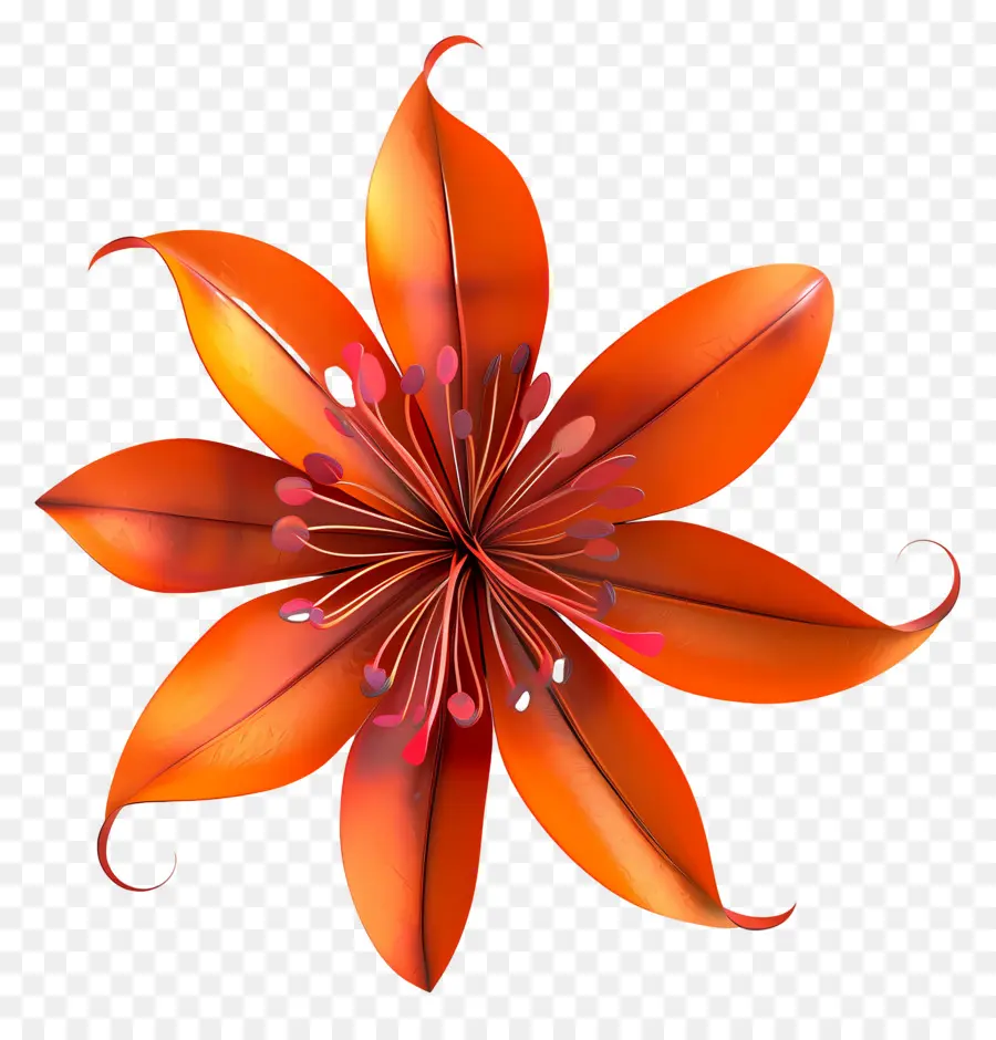 Flor 3d，Flor De Naranja PNG