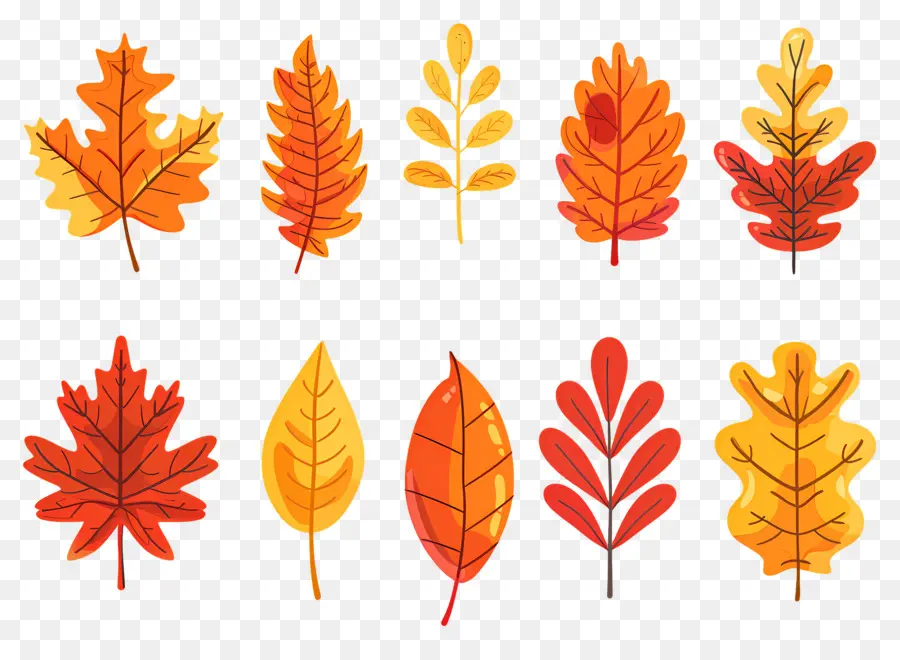 Hojas De Otoño，Caer PNG