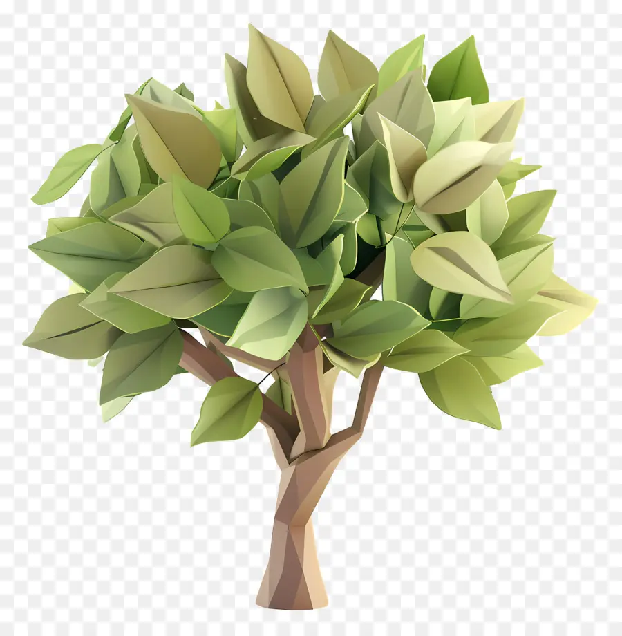 Árbol 3d，árboles De Dibujos Animados PNG