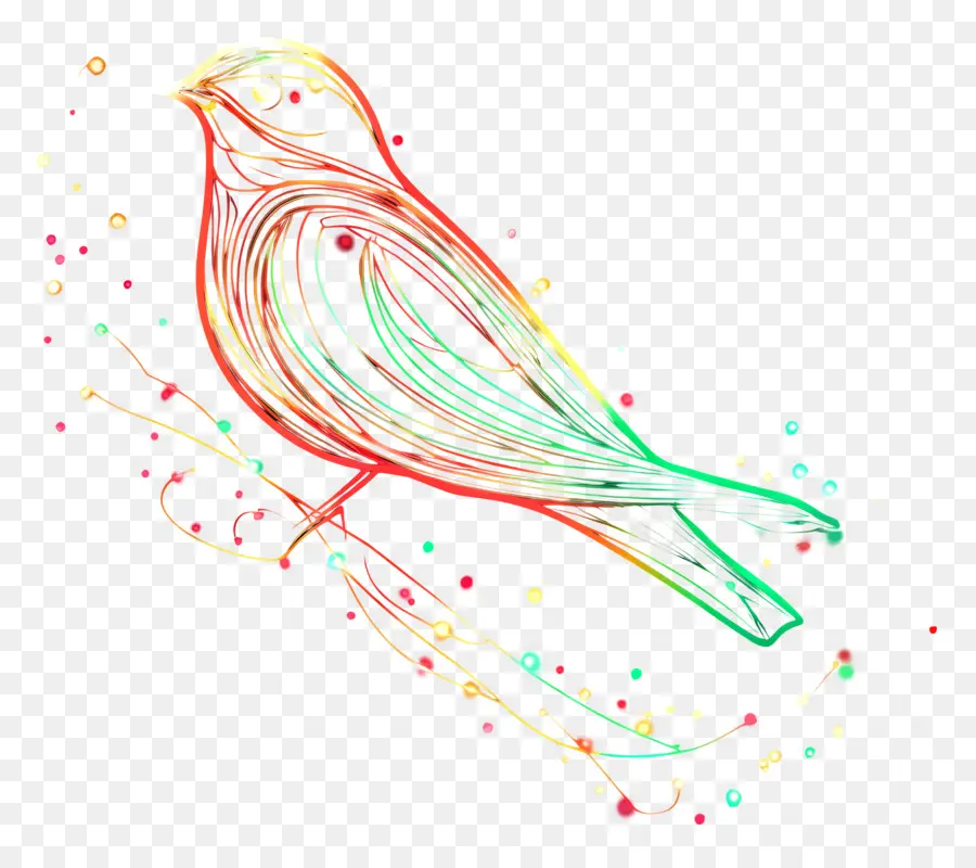 Pájaro De Navidad，Pájaro Colorido Del Arte Lineal PNG