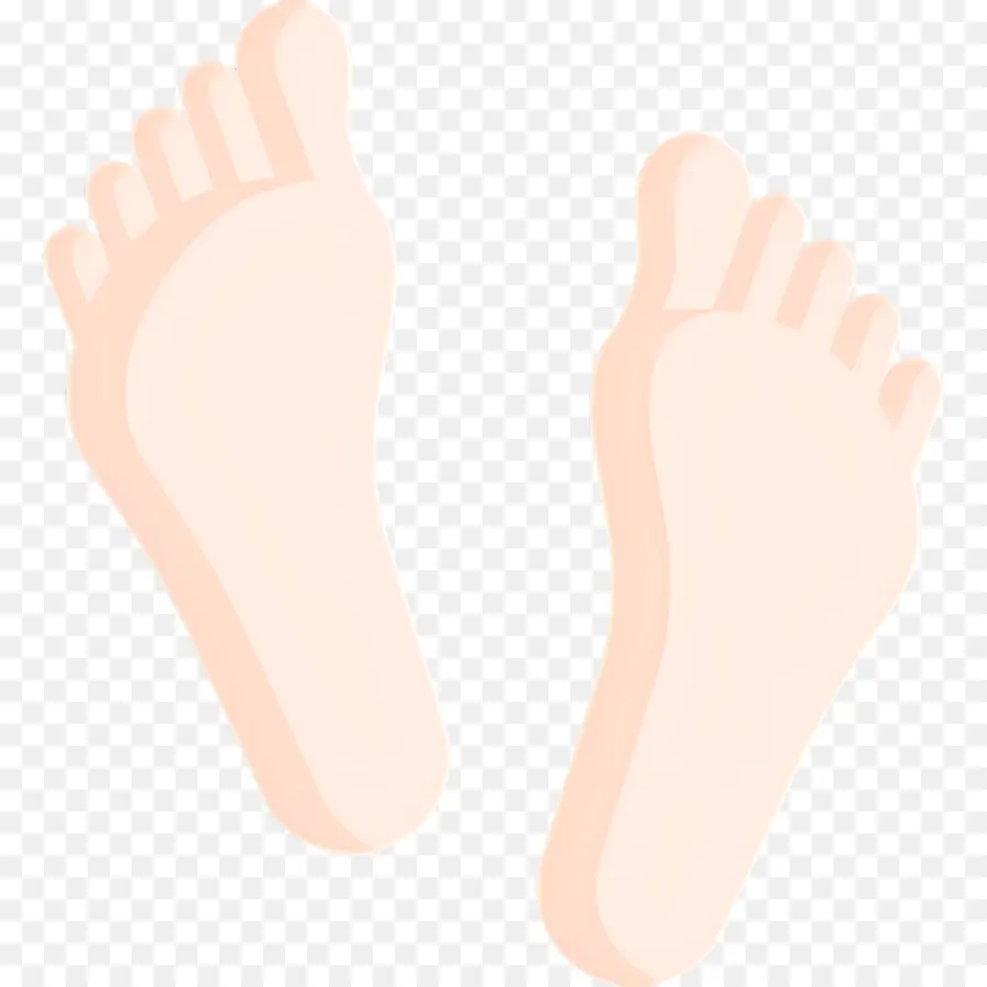 Pies，Dedos De Los Pies PNG