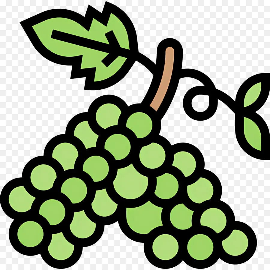 Vid De Uva，Uvas Verdes PNG