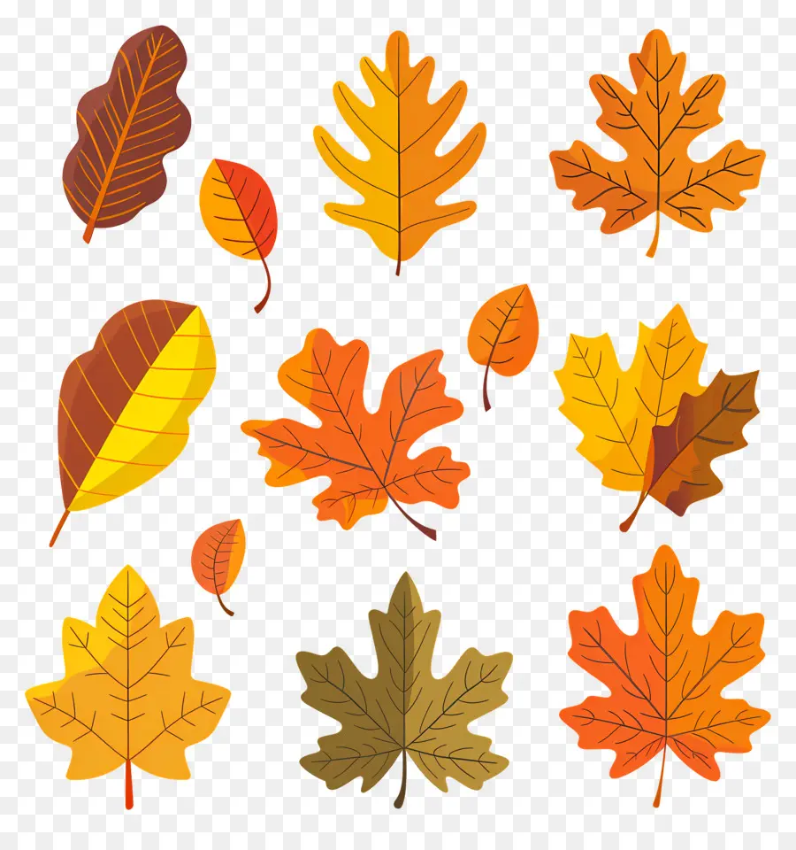 Hojas De Otoño，Hojas PNG