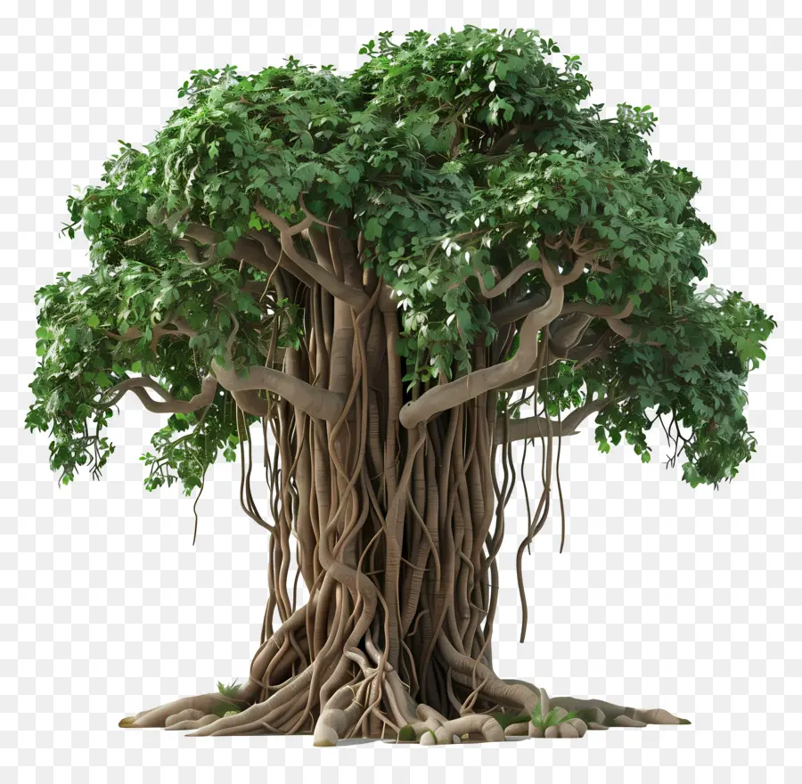 Árbol 3d，Árbol PNG