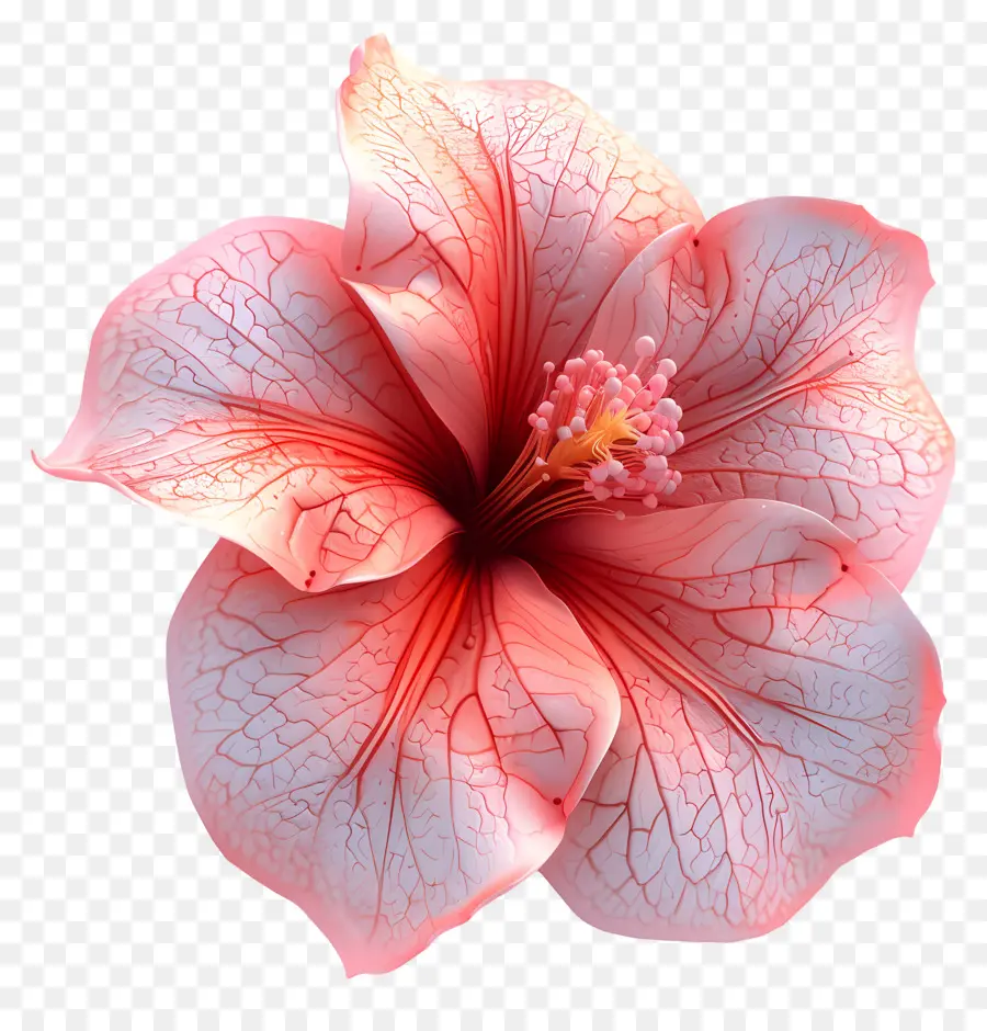 Flor De Azalea Modelo 3d，Flor De Hibisco PNG