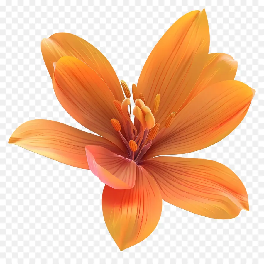 Flor 3d，Flor De Naranja PNG