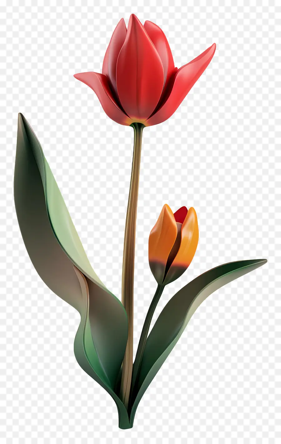 Flor 3d，Tulipán Rojo PNG