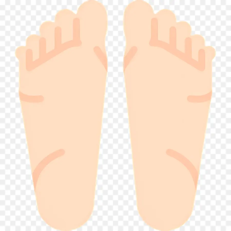 Pies，Dedos De Los Pies PNG