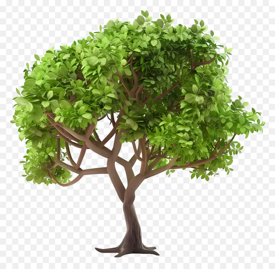 Árbol 3d，árbol Verde PNG