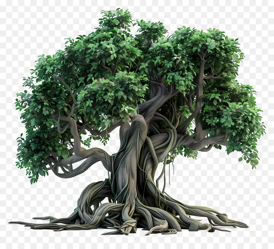 Árbol 3d，Árbol PNG