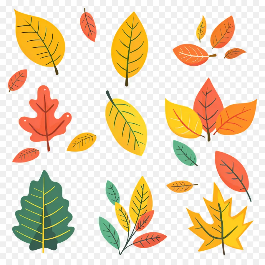 Hojas De Otoño，Hojas PNG