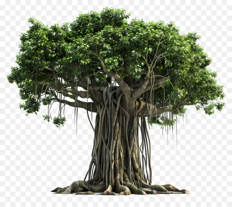 Árbol 3d，Árbol PNG