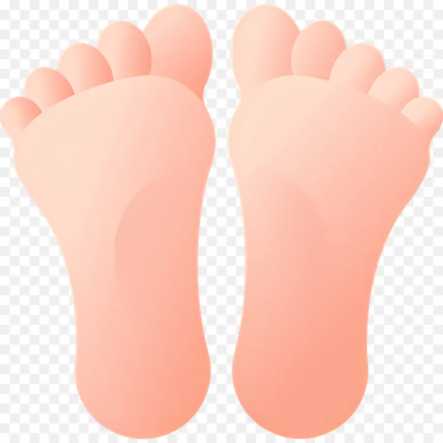 Pies，Dedos De Los Pies PNG