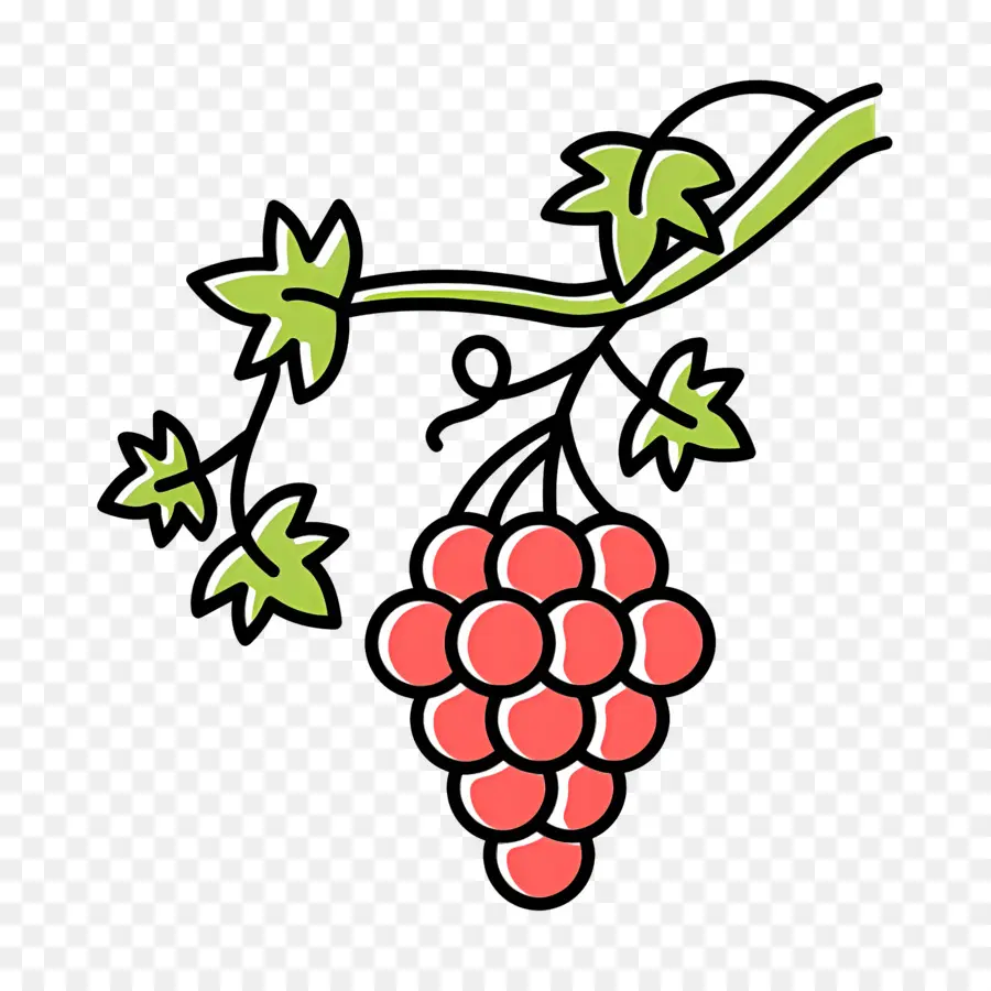 Vid De Uva，Uvas PNG