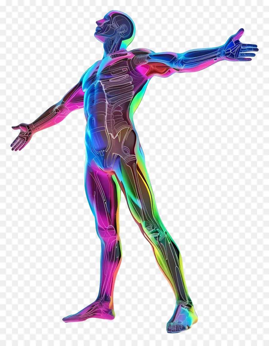 Hombre 3d，Anatomía Humana PNG