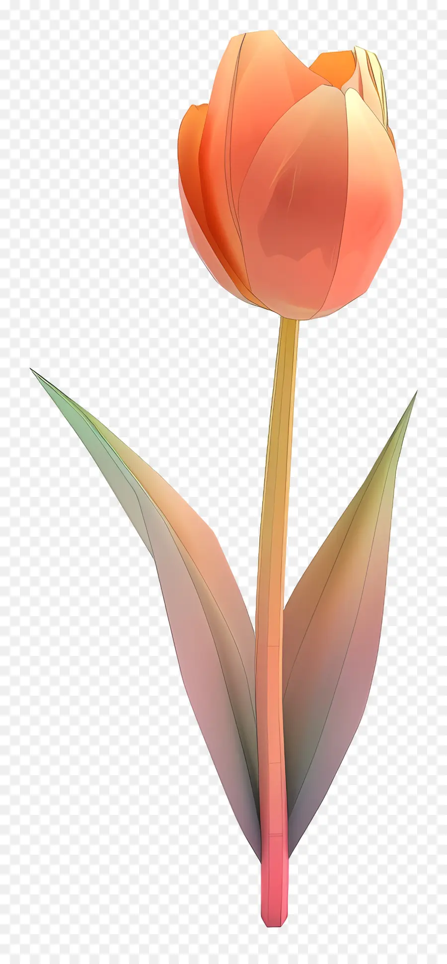 Flor 3d，Tulipán Rosa PNG