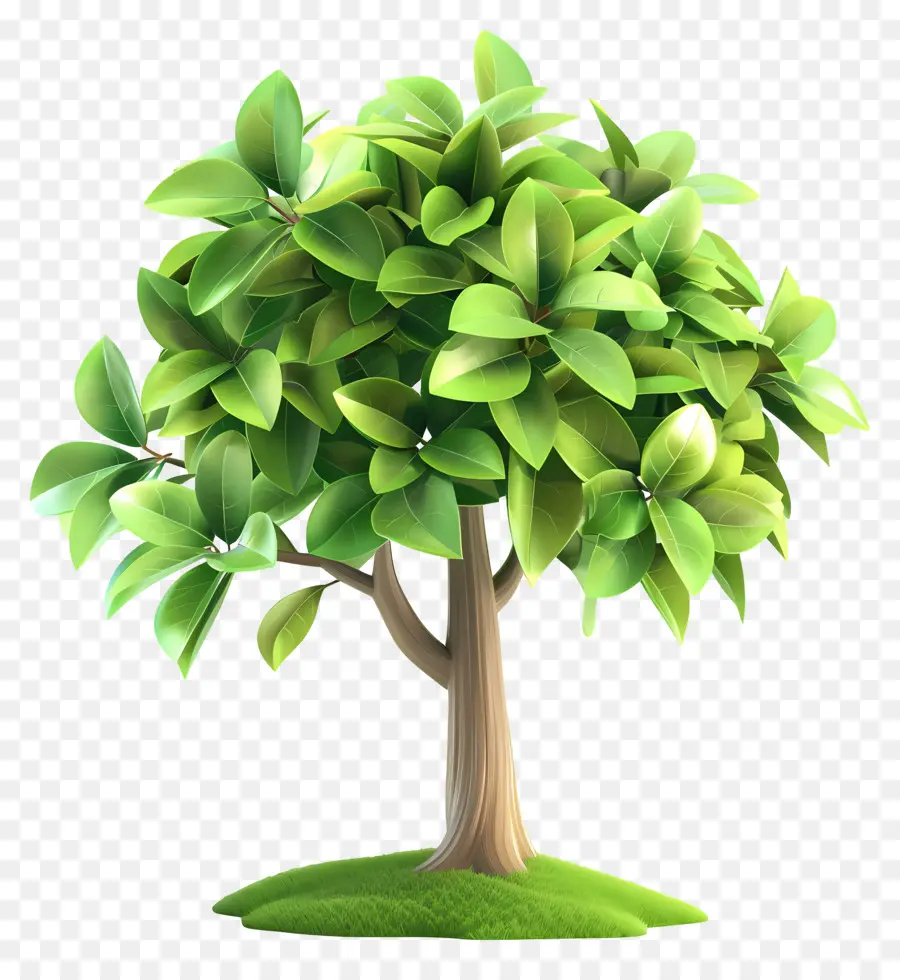 Árbol 3d，Árbol PNG