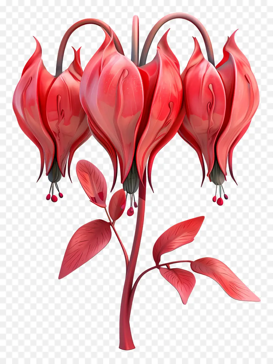 Flor 3d，Flores Rojas PNG