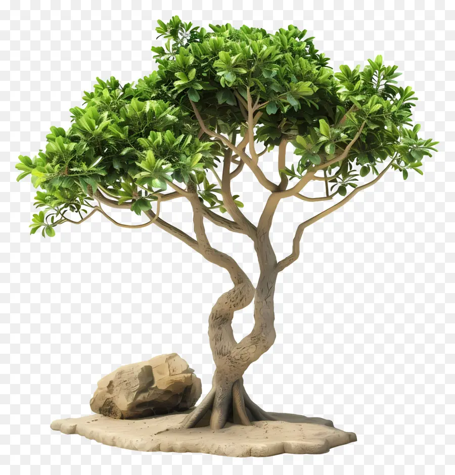 Árbol 3d，Árbol PNG