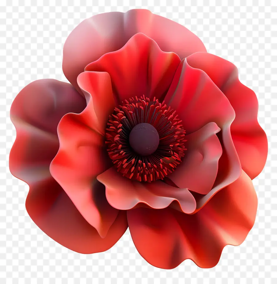 Flor 3d，Flor Roja PNG