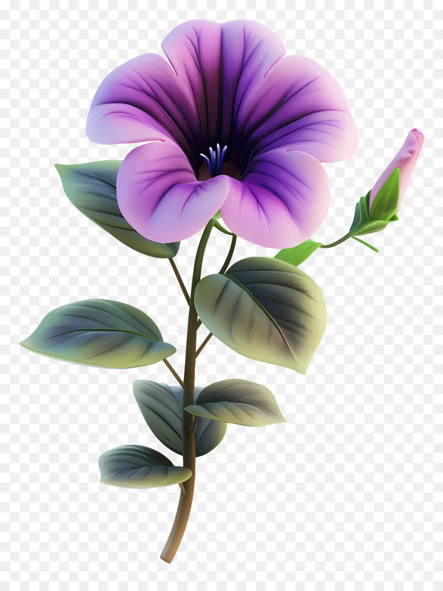 Flor 3d，Flor Morada PNG