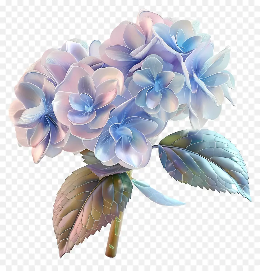 Flor 3d，Hortensia PNG