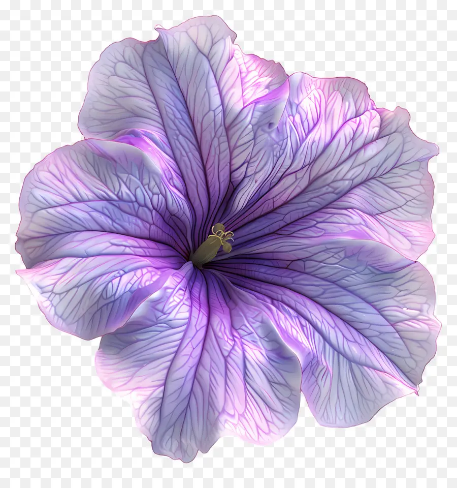 Flor 3d，Flor Morada PNG