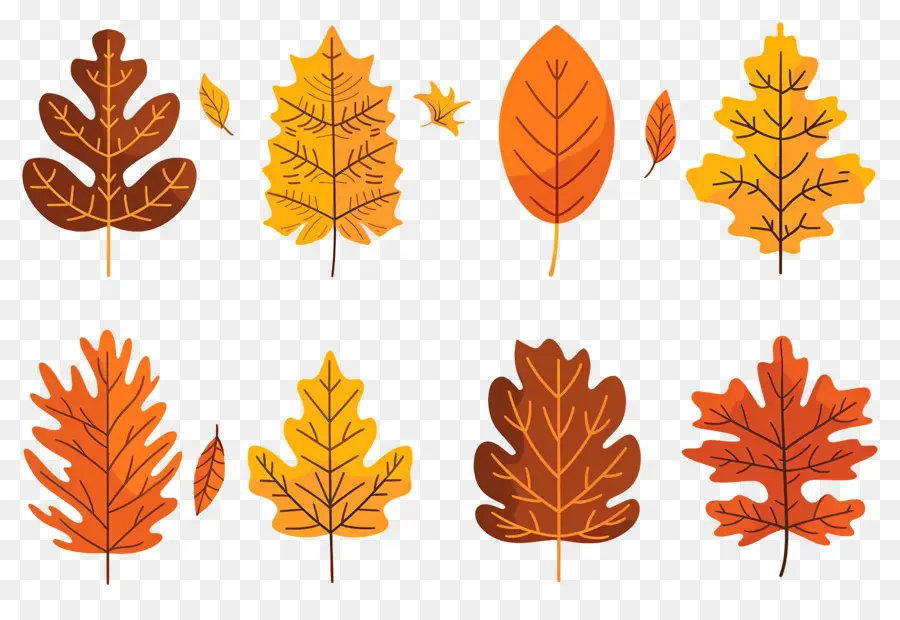 Hojas De Otoño，Caer PNG