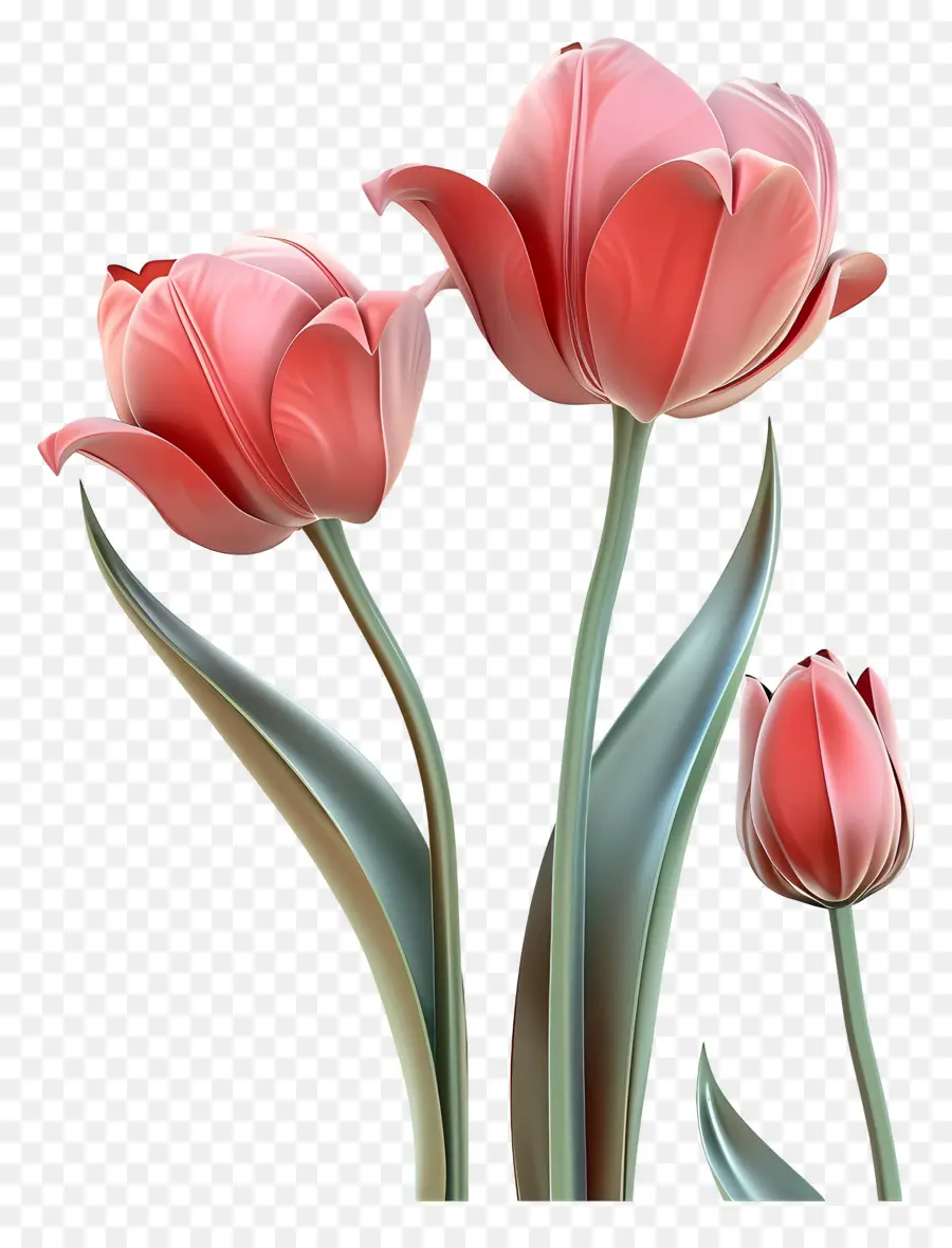 Flor 3d，Tulipanes Rosados PNG